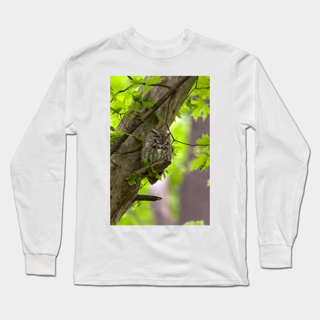 Eastern Screech Owl Long Sleeve T-Shirt by Eunice1